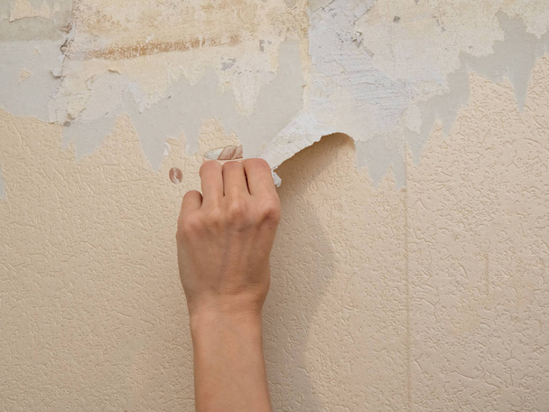 Hand removing old wallpaper during repair. - Photo, Image
