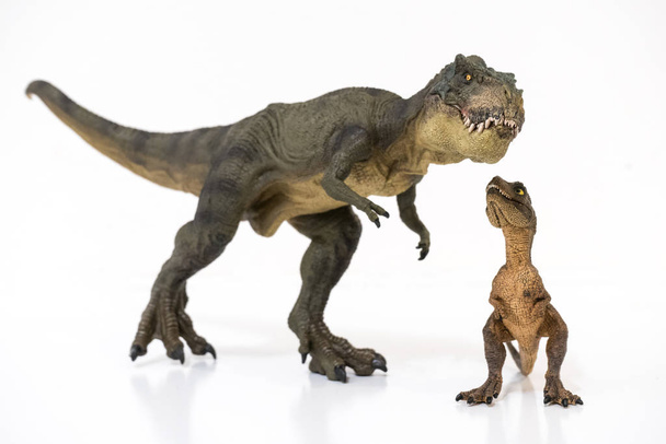 Tyrannosaurus rex beyaz arka plan üzerinde izole bebek tyrannosaurus rex ile - Fotoğraf, Görsel