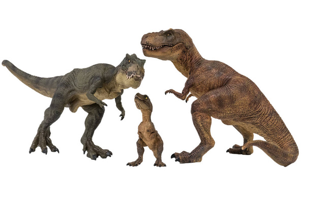 Tyrannosaurus rex com tiranossauro bebê rex isolado em fundo branco
 - Foto, Imagem
