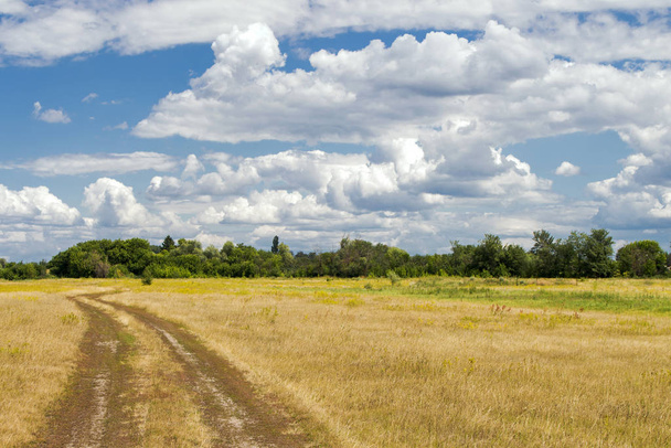 Vista del campo con erba ingiallita e strada tortuosa sullo sfondo di una cintura forestale e un cielo nuvoloso
 - Foto, immagini