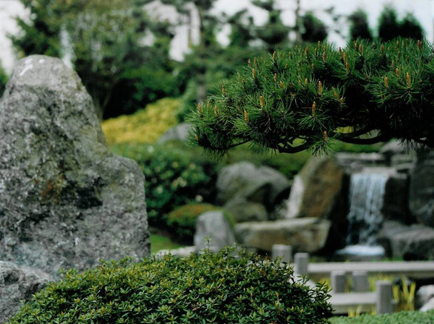 japanese garden (bad langensalza) - Fotó, kép