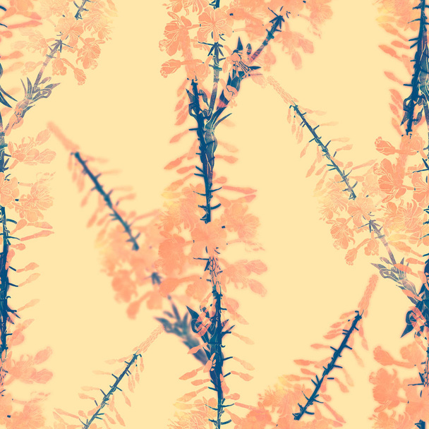 Naadloze patroon met Wilgenroosje bloemen - Foto, afbeelding