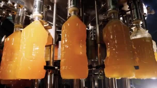 Automated production and bottling drinks on conveyor line of industrial factory - Footage, Video