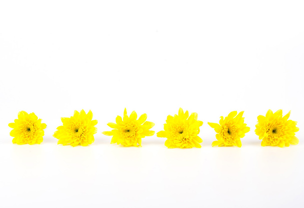 Fiore giallo
 - Foto, immagini