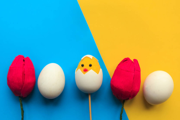Toy chicken, tulips and eggs on bright blue and yellow background. Copy space for the text. Easter concept - Photo, Image
