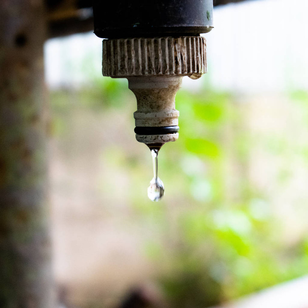 A water drop falls from a dirty and rusty water tap - Water engineering theme - Photo, Image