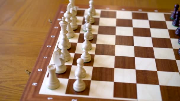 Wooden chess pieces. Chess game.  - Footage, Video
