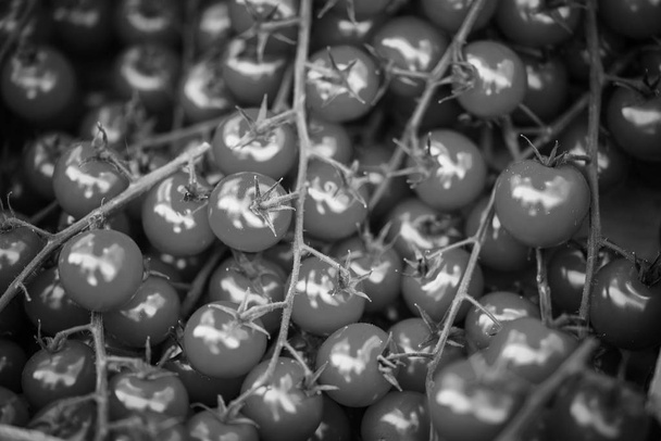 frische Tomaten auf dem Pariser Markt - Foto, Bild