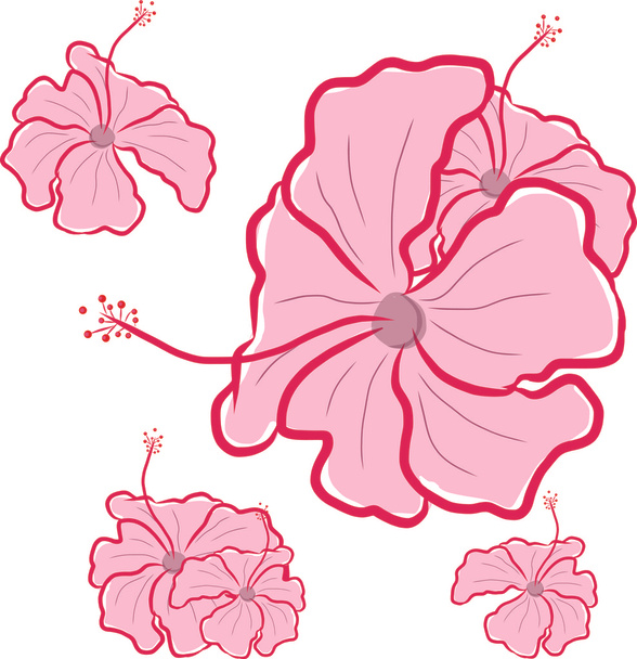 hibiscus bloem - Vector, afbeelding