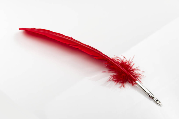 A red feather pen isolated on white background - Fotoğraf, Görsel