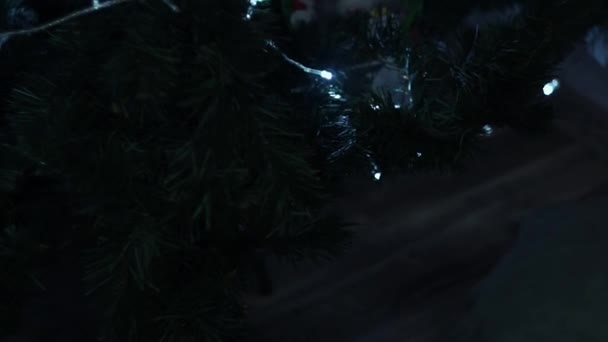 Uma menina olha sob uma árvore de Natal com uma grinalda e procura um gatinho, presentes
 - Filmagem, Vídeo