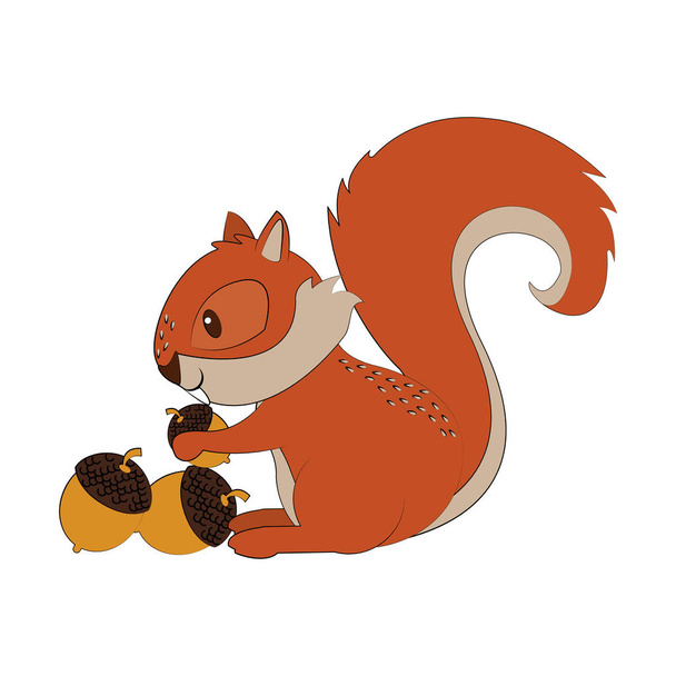 Σκίουρος που τρώει ξηρούς καρπούς καρτούν ζώο - Διάνυσμα, εικόνα