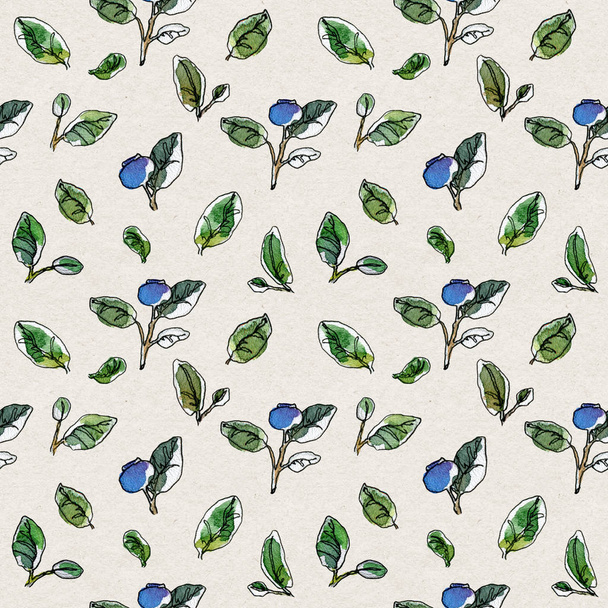 Seamless pattern hand-drawn graphic watercolor sketchy blueberry twigs with leaves and berries on a cream white background. - Foto, Imagen