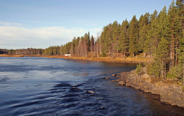 nature in Scandinavia in Northern Europe - Photo, image