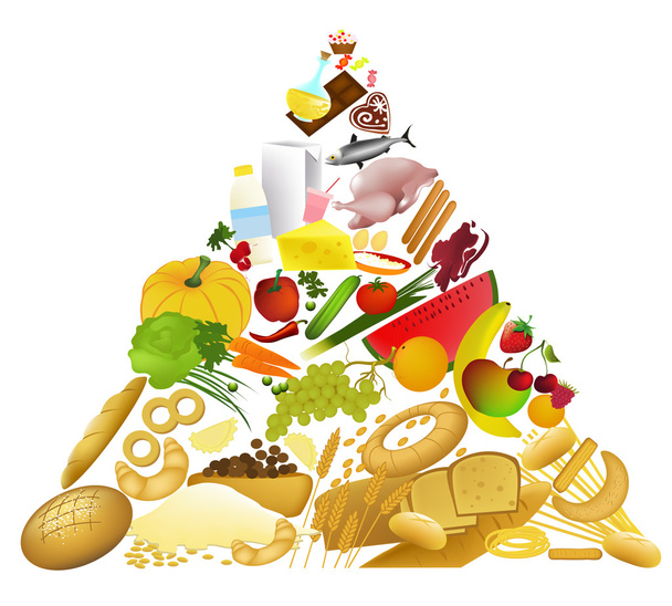 харчової піраміди
 - Вектор, зображення