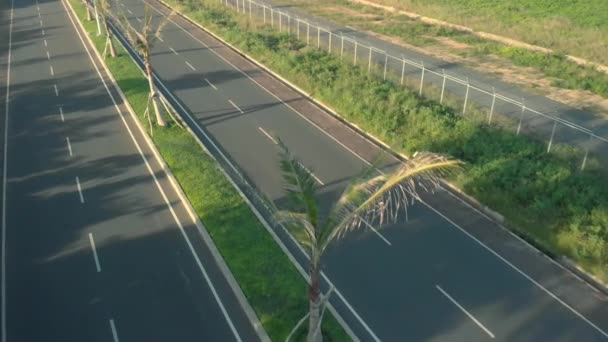Motortochten op de weg met palmbomen en lichtpalen. Cinematische drone shot van de zomer dagelijkse motorreis - Video