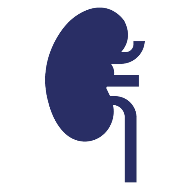 Icono de vector aislado del riñón que se puede modificar o editar fácilmente
 - Vector, imagen
