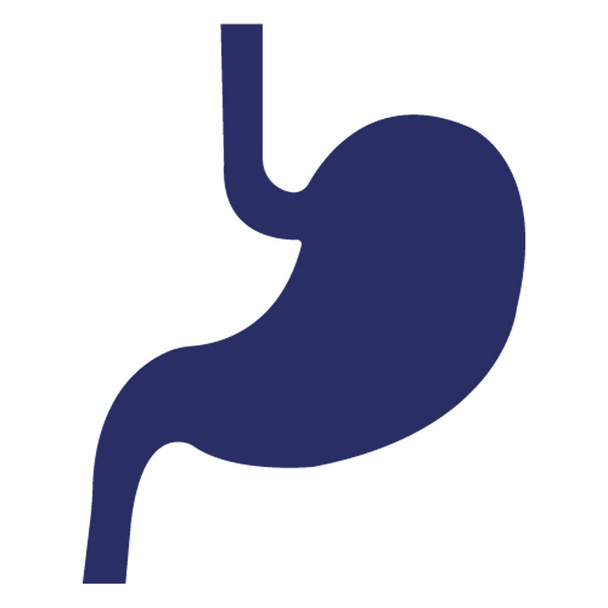 Izolowana ikona wektora żołądka, którą można łatwo zmodyfikować lub edytować - Wektor, obraz