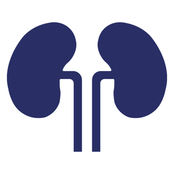 Kidneys Isolated Vector icon which can be easily modified or edit - Vector, Image