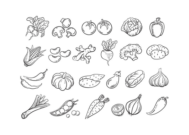 Hand drawn black line vegetable icon vector set - Vettoriali, immagini