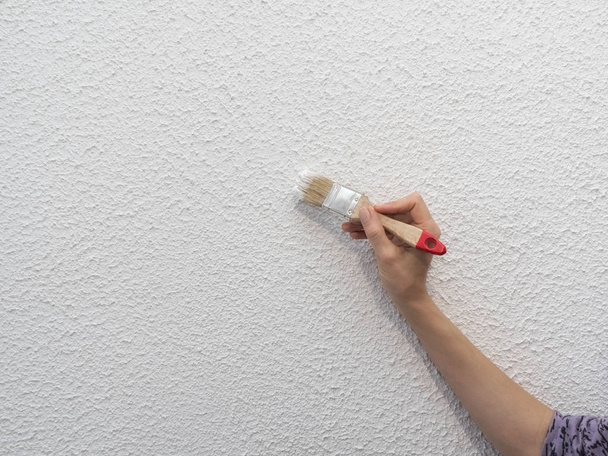 hand holds paint brush and painting a wall - Foto, Bild