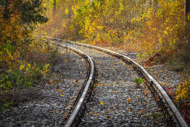 Branch of railway tracks - Φωτογραφία, εικόνα