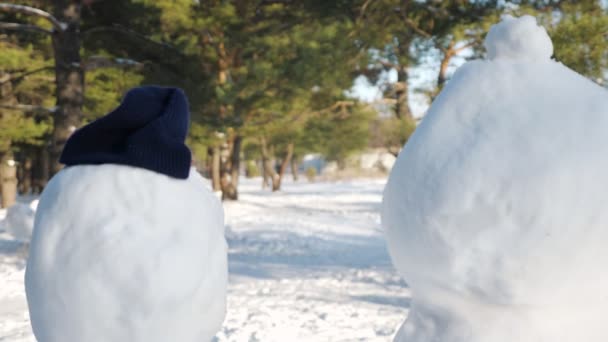 vrolijke zwarte dame besteedt vrije tijd onder sneeuwpoppen in park - Video