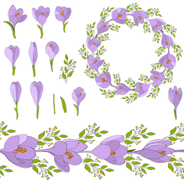 Flowers of crocus for gift cards. Set of crocus flowers, seamless brushes and wreaths  for clipart. Garland flowers of crocus vector  hand draw celebrate holiday. Vector hand draw  Illustration EPS10. - Vettoriali, immagini