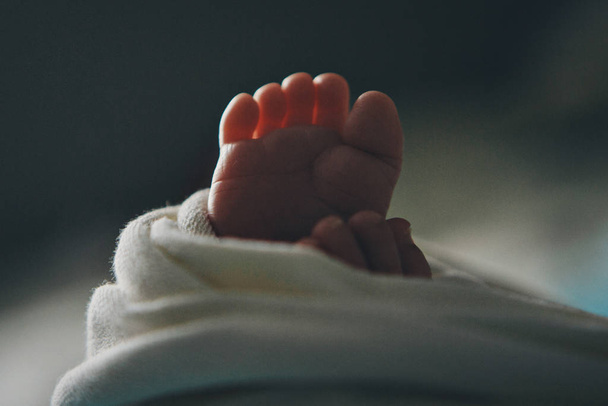 Newborn Baby's feet. legs massage concept of childhood, health care, IVF, hygiene - Photo, image