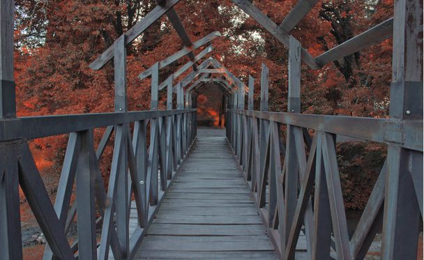 puente rodeado de arboles - Photo, Image