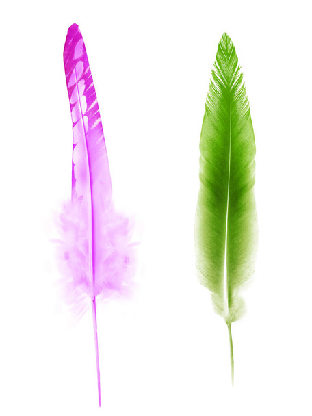Beautiful color feather isolated on white background - Foto, imagen