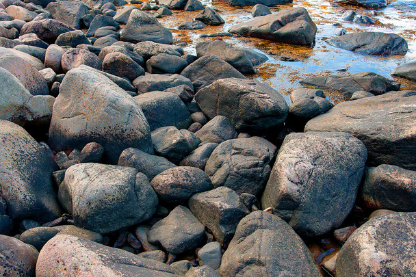 Playa rocosa
 - Foto, imagen