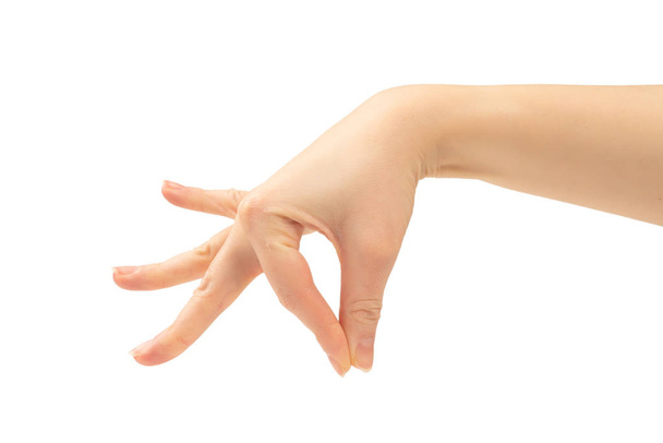 Main de femme isolée sur blanc - Photo, image
