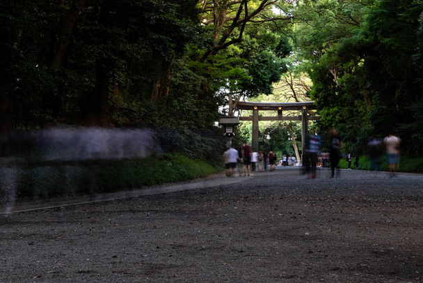 Ludzie spacerujący przez Meiji Jingu Sanktuarium w ciągu dnia - Zdjęcie, obraz