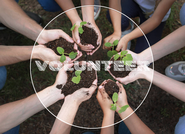 Genç bitkiler ile gönüllüler açık havada - Fotoğraf, Görsel