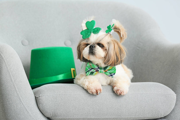 Leuke hond met groene hoed op fauteuil. St. Patrick 's Day viering - Foto, afbeelding