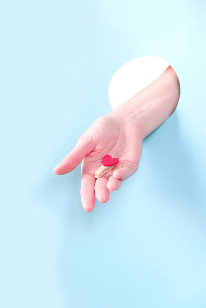 Close up of human hand protruding through hole in blue background, holding red heart. - Photo, image