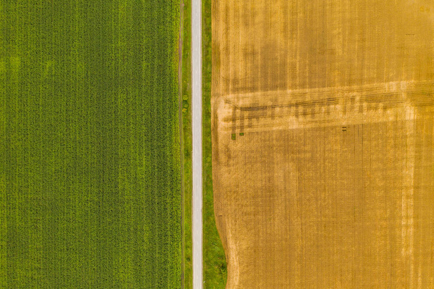 Aerial top view drone photography of a land with sown green fields in countryside - Foto, Imagem