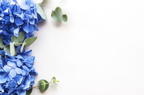 Niebieskie kwiaty hortensji - Zdjęcie, obraz