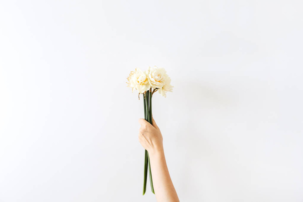 Nainen käsi pitää Narcissus kukkia kimppu valkoisella taustalla. Tasainen lay, ylhäältä katsottuna minimaalinen kukka koostumus
. - Valokuva, kuva