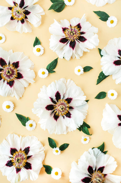 Sarı arka planda beyaz şakayıklar ve papatya çiçeği desenleri. Düz konum, üst görünüm minimal çiçek bileşimi. - Fotoğraf, Görsel