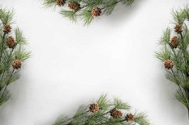 A scenery of fir branches with acorns making a frame on a white surface perfect for a Christmas card design - Fotoğraf, Görsel