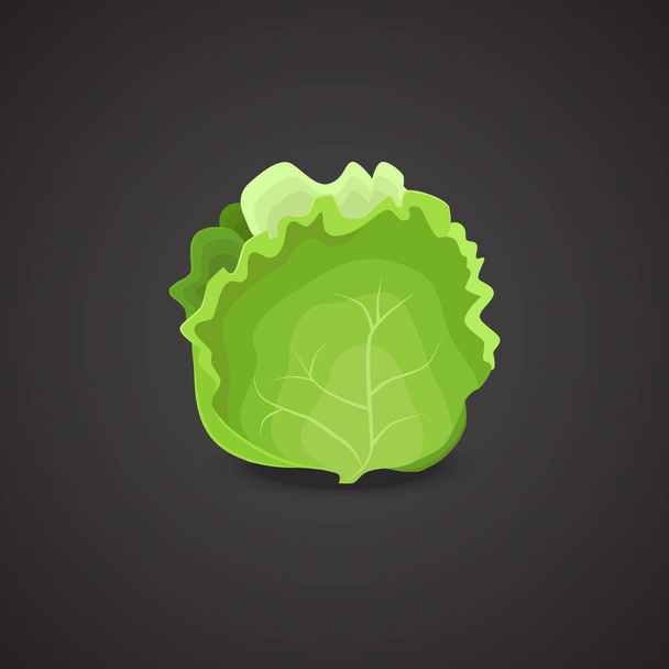 Lettuce realistic vector icon. - Vector, Imagen