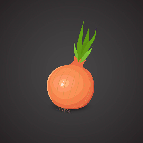 Onion realistic vector icon. - Vektori, kuva