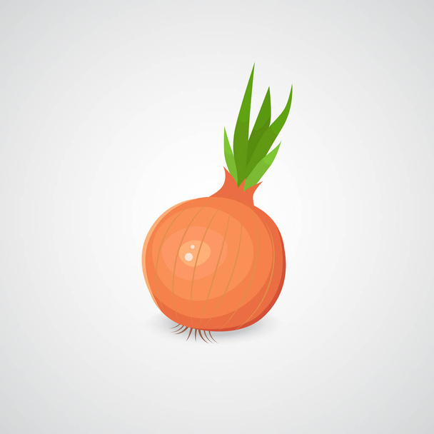 Onion realistic vector icon. - Vector, imagen