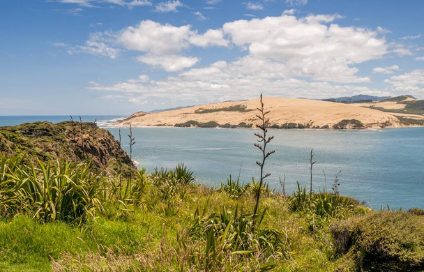 A scenery of the Hokianga harbor under the cloudy sky in Omapere  New Zealand - 写真・画像
