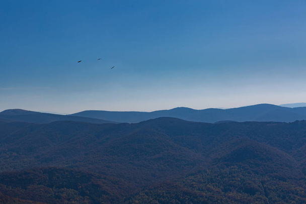 ravens over mountains - Foto, afbeelding