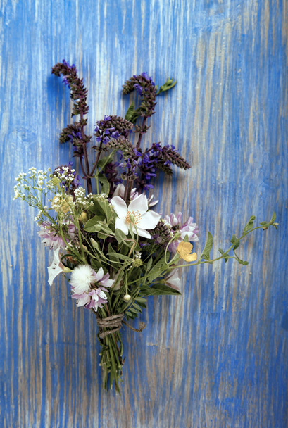 Wild flowers on blue wooden deck background (chamomile lupine da - Photo, Image