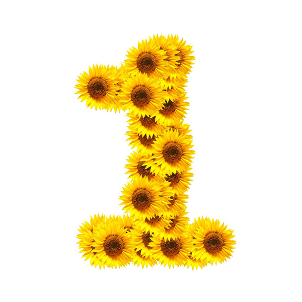 Alphabet of flowers - Foto, Imagem