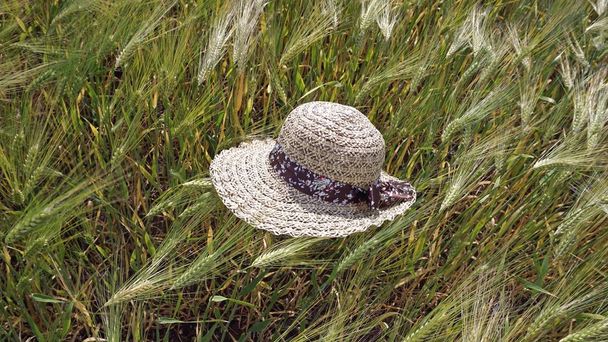 Жіночий сонячний капелюх вибухнув вітром на жито / пшеничних колосках
 - Фото, зображення